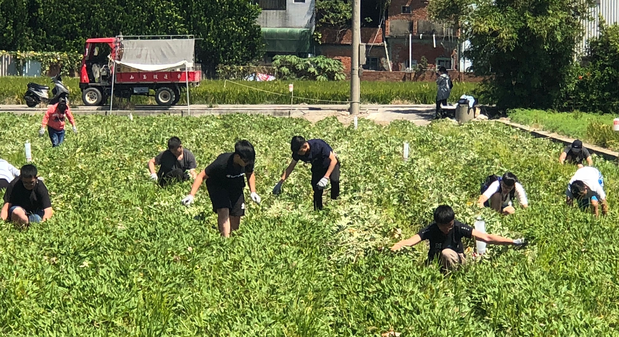教育部大學社會責任推動中心